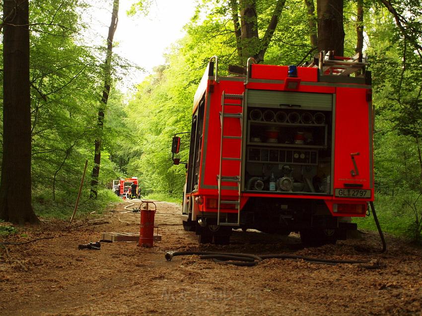 Waldbrand Bergisch Gladbach Bensberg P114.JPG